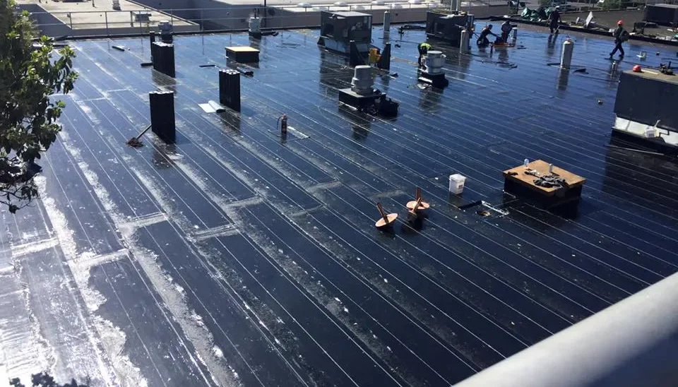Roof condition survey