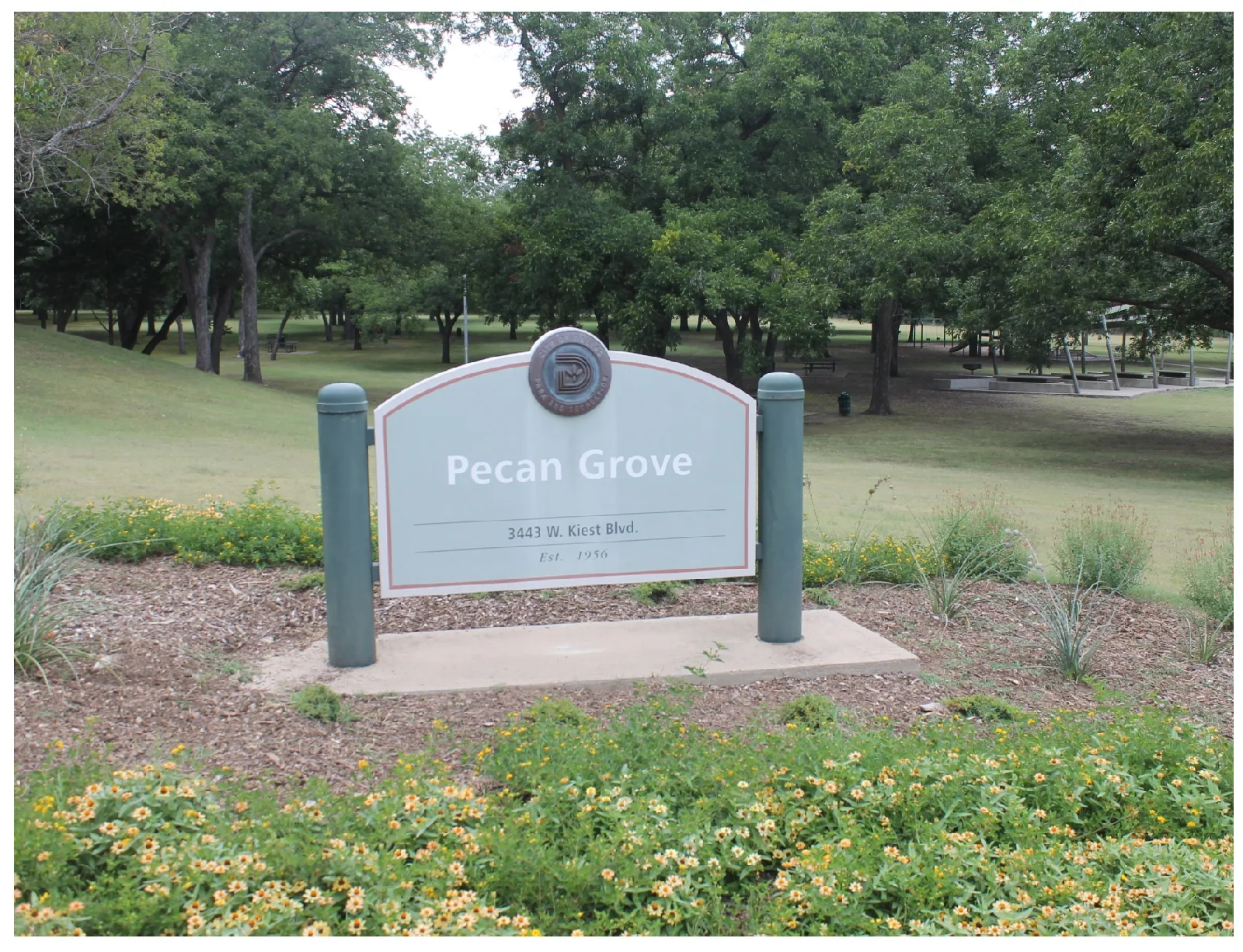 Pecan Grove